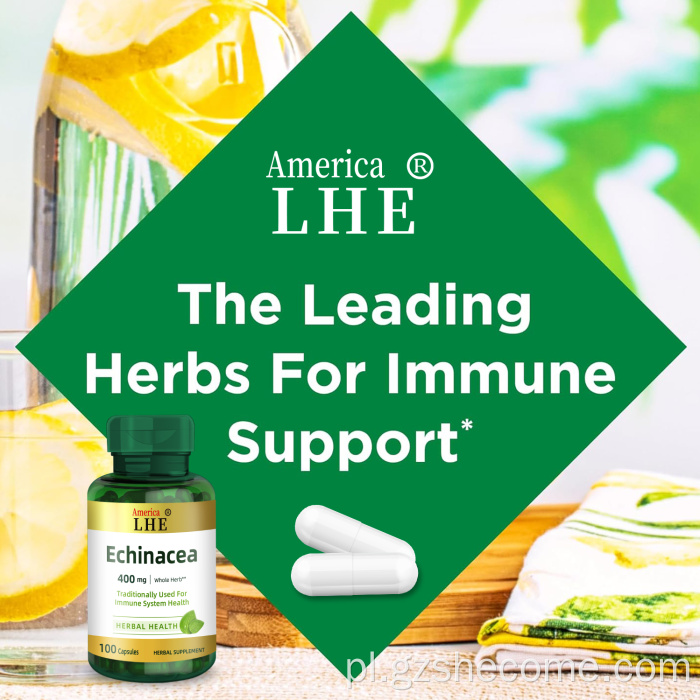 Suplement echinacea dla zdrowia układu odpornościowego